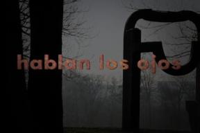 HABLAN LOS OJOS